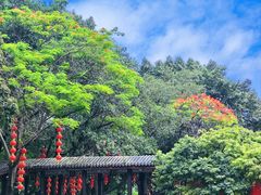 -荔湾湖公园