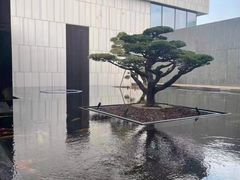 -富君租车(外滩店)