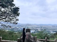 -灵岩山风景区