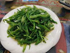 -泸沽肴(泸沽湖大洛水村农村信用社旁店)