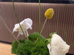-蓉小乔·RONG COFFEE(春熙路店)