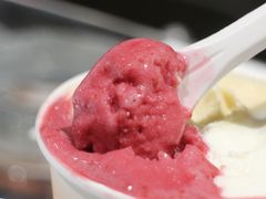-Dip in Gelato(富民路店)