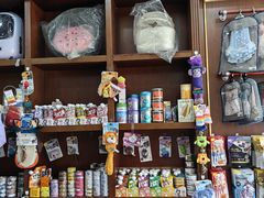 -宠爱国际动物医院· 猫科· 外科·中兽医(长白店)