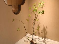 -外滩8号 whisky bar(金延大厦店)