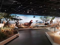 -陕西自然博物馆