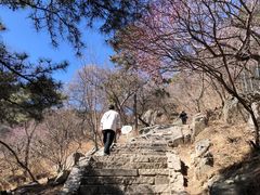 -香山公园