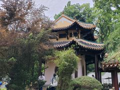 -岳麓山风景名胜区