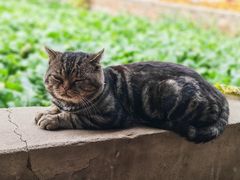 -鸡鸣驿城