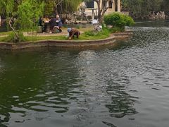 -无锡蠡湖国家湿地公园-蠡园