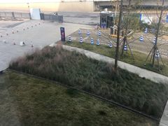 -张之洞与武汉博物馆
