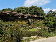 -中国茶叶博物馆(双峰馆区)