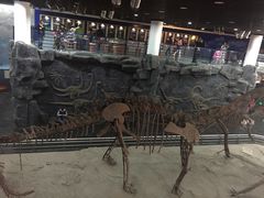 -吉林省自然博物馆