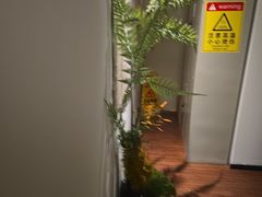 -沐善人家中医·推拿·理疗·三伏灸(新洲店)