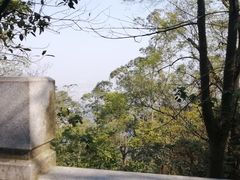 -水濂山森林公园