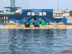 -秦皇岛乐岛海洋王国