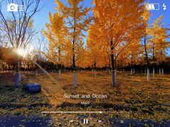 -永定河休闲森林公园