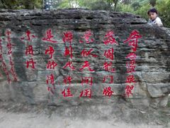 android_upload_pic-分塔山省级森林公园