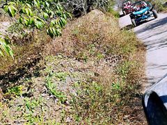 -南山特攻真人CS户外露营轰趴拓展基地