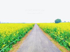 -中国天府农业博览园