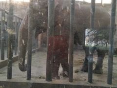 -石家庄市动物园