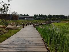 -同里国家湿地公园