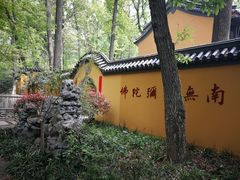 -灵谷景区