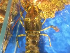 -79号渔船海鲜饭店(龙岗店)