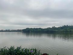 -南国桃园旅游度假区