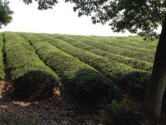 敬亭山-敬亭山风景名胜区