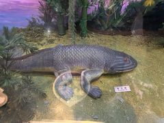 -国家自然博物馆