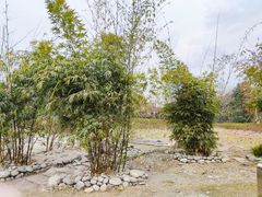 -国际非物质文化遗产博览园