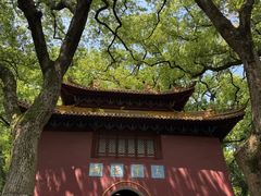 -普陀山风景名胜区-法雨禅寺