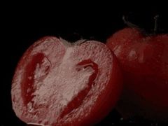 -生活如沸·顺德水牛奶火锅(人民广场店)
