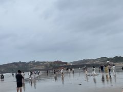 -坛南湾阿强农家乐.海鲜大排档老字号(福州地标美食店)