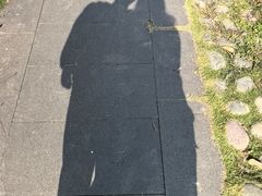 -白鹭湾湿地公园