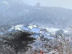 -中原农家乐(中原饭店)