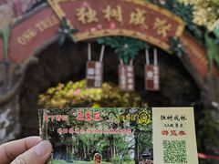 -瑞丽独树成林风景区