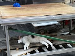 -孙庆海腊牛肉店(大皮院店)