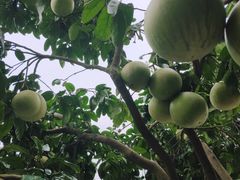 -金堂县云顶石城风景区