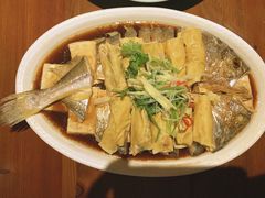 老豆腐蒸黄鱼鲞-浦江餐饮•上海菜馆(五四路店)