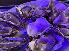 -千岛蚝高压锅生蚝·人参火锅(白云万达店)