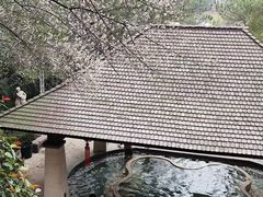 -天目湖涵田半山温泉