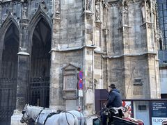 -斯蒂芬主教座堂(Stephansdom)