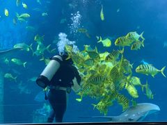 -太平洋海底世界