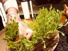 -盡膳口福跷脚牛肉火锅(北美新天地店)