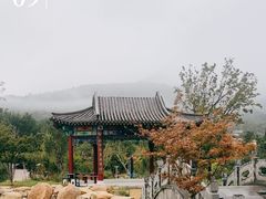 -泰山风景名胜区-虎山公园