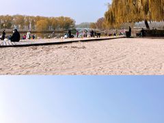 -大兴滨河森林公园