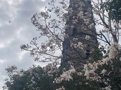 -上海青龙寺