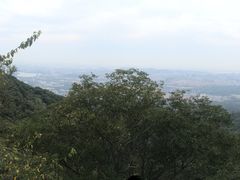 -紫金山山顶公园