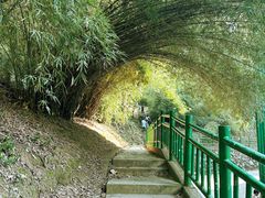 -潜山国家森林公园